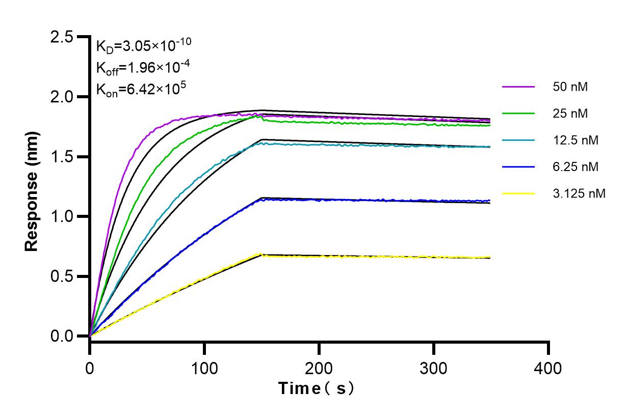 Affinity and Kinetic Characterization of 83662-2-RR