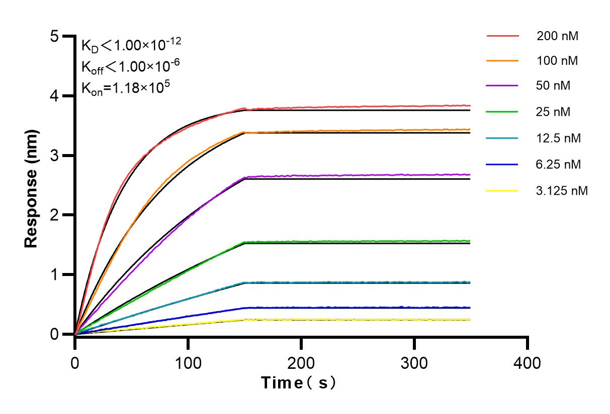 Affinity and Kinetic Characterization of 83662-7-RR