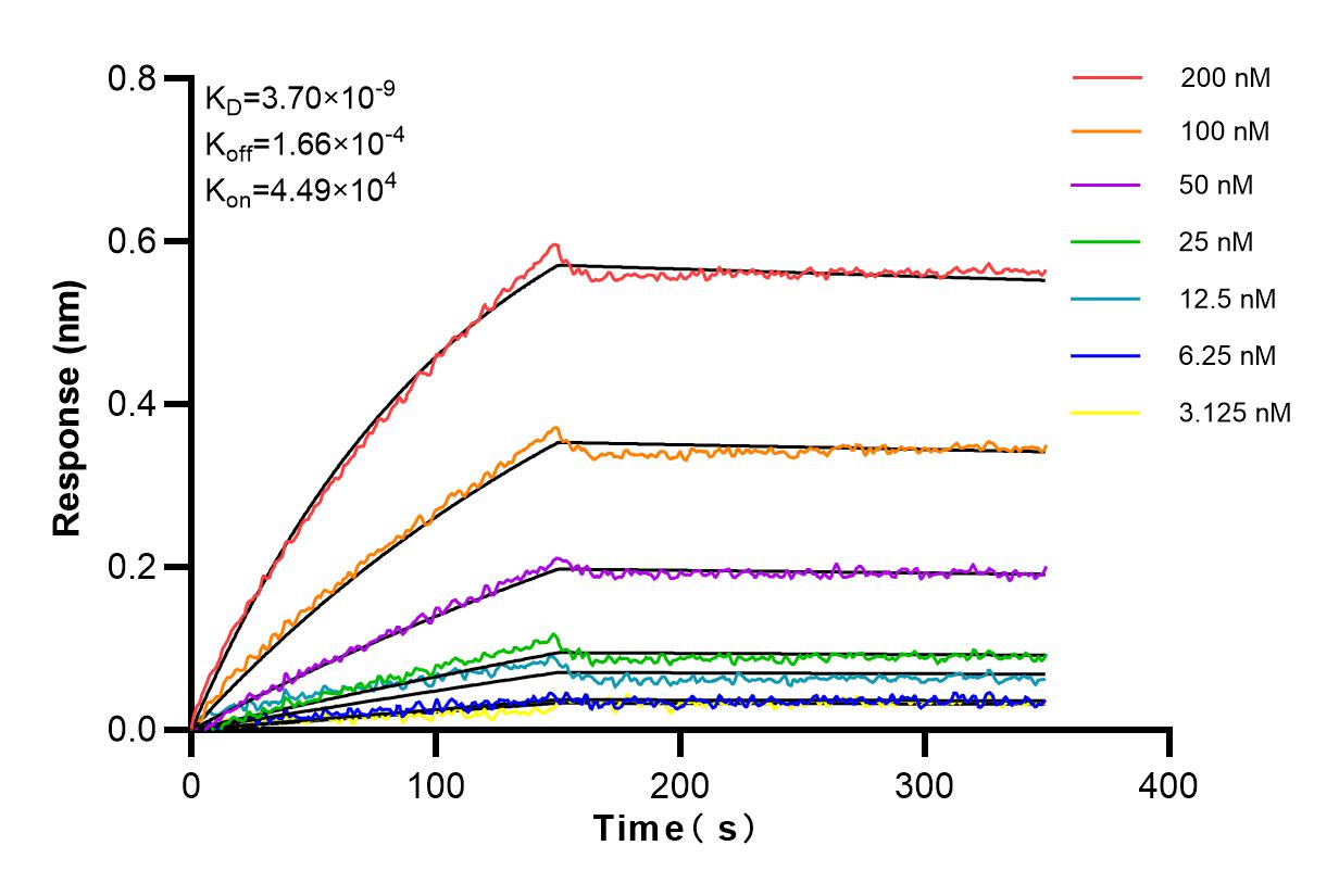 Affinity and Kinetic Characterization of 83672-1-RR