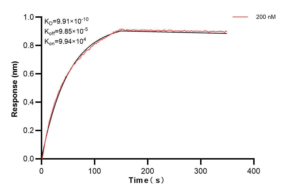 Affinity and Kinetic Characterization of 83673-1-PBS