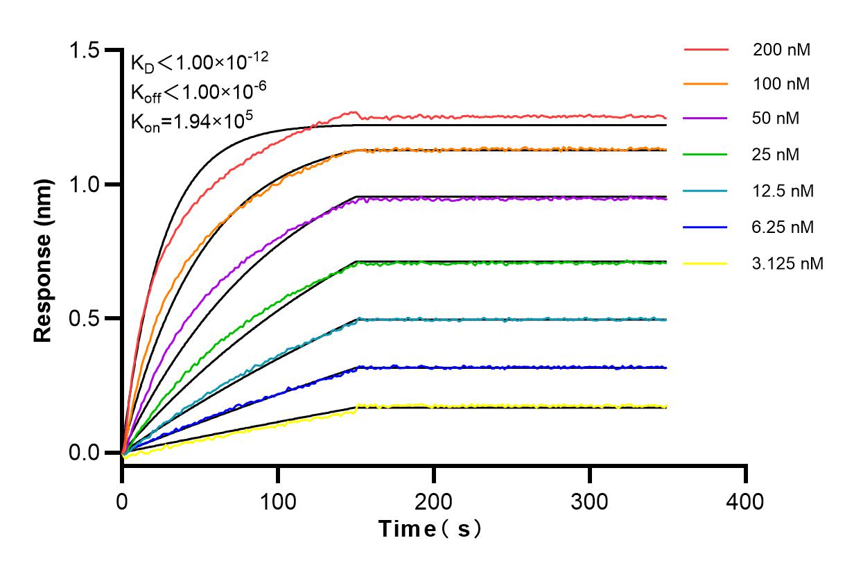 Affinity and Kinetic Characterization of 83673-3-RR