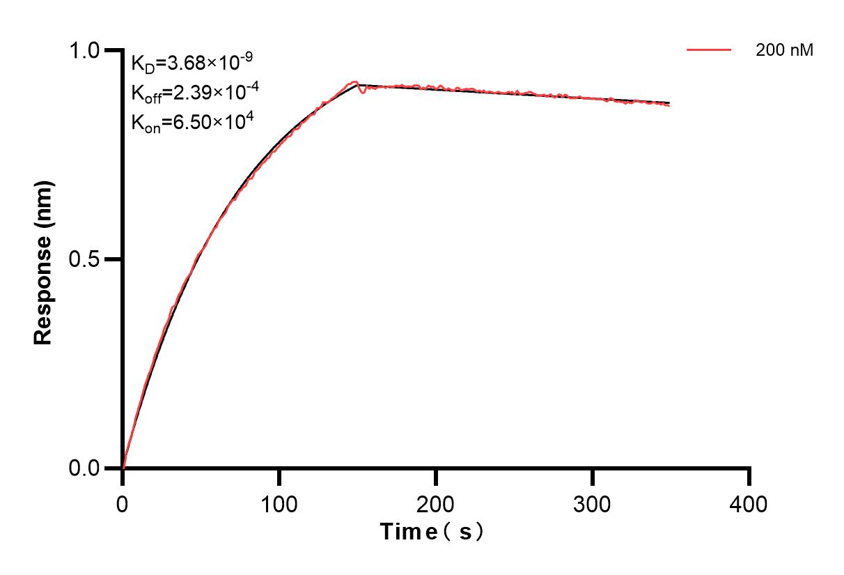 Affinity and Kinetic Characterization of 83677-2-PBS