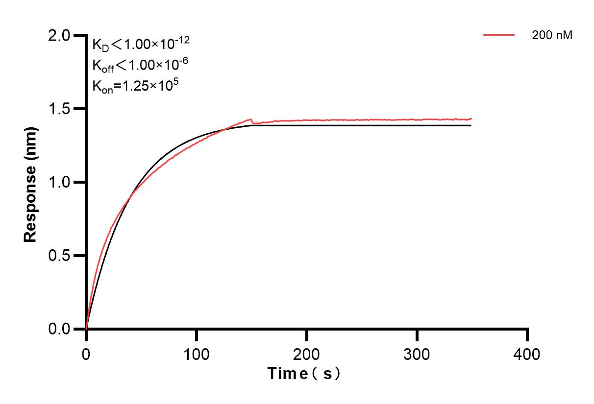 Affinity and Kinetic Characterization of 83677-5-PBS