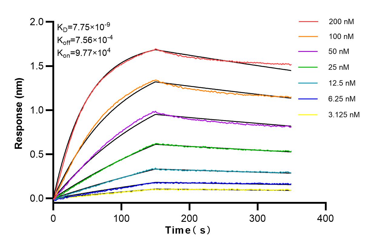 Affinity and Kinetic Characterization of 83682-4-RR