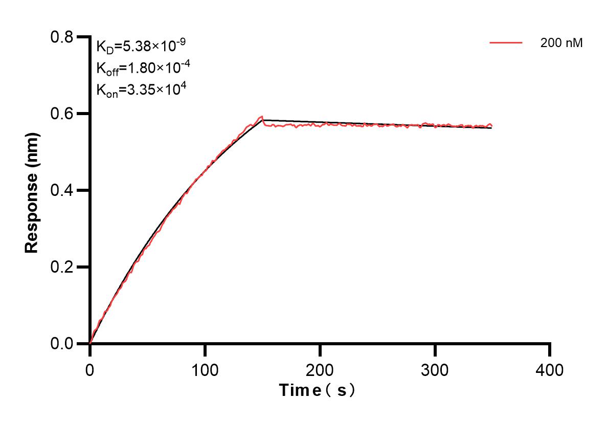 Affinity and Kinetic Characterization of 83686-1-PBS