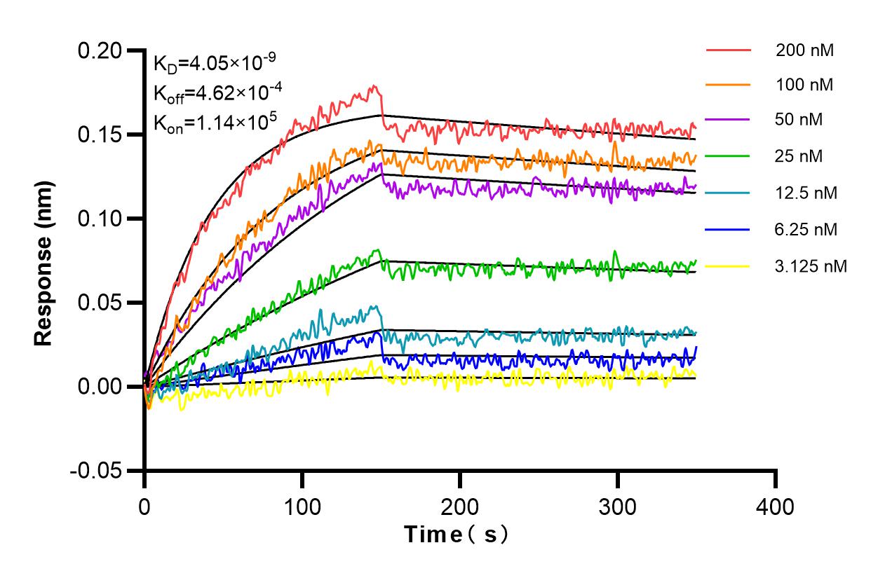 Affinity and Kinetic Characterization of 83686-3-RR