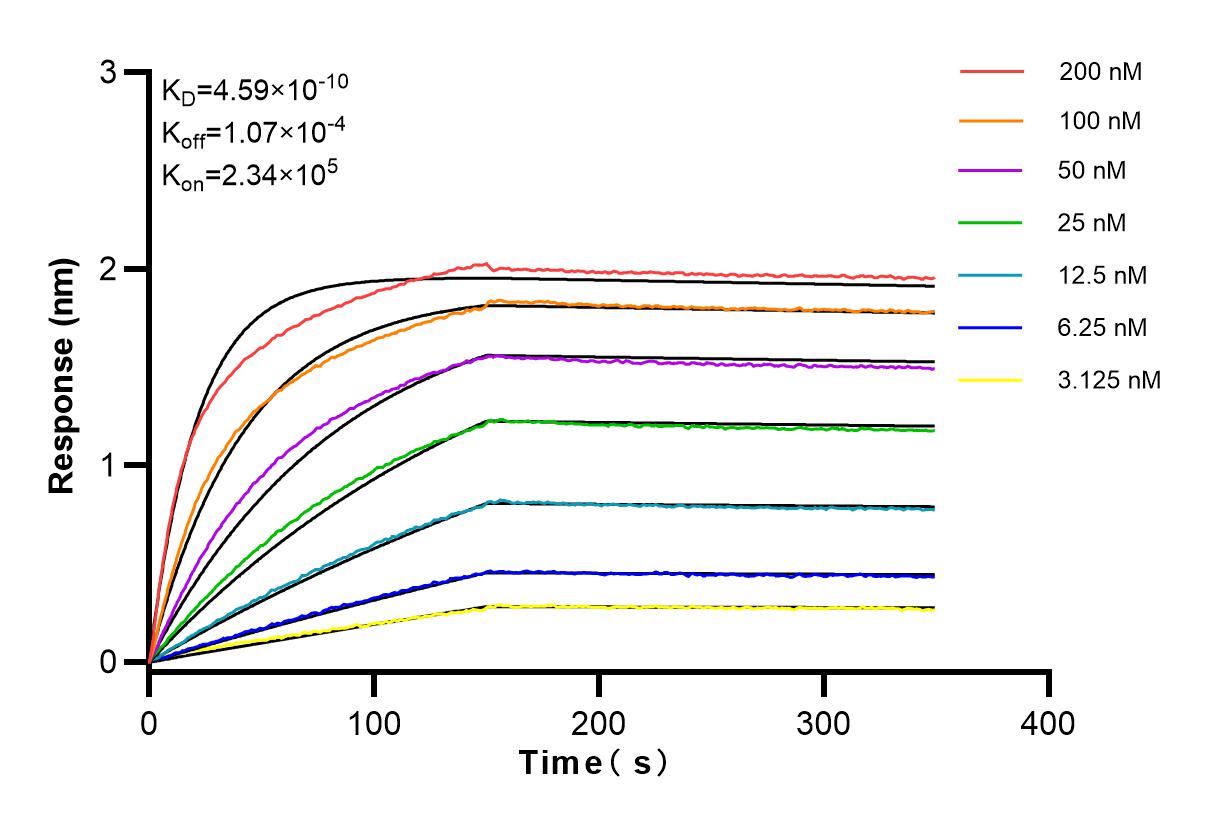 Affinity and Kinetic Characterization of 83690-5-RR