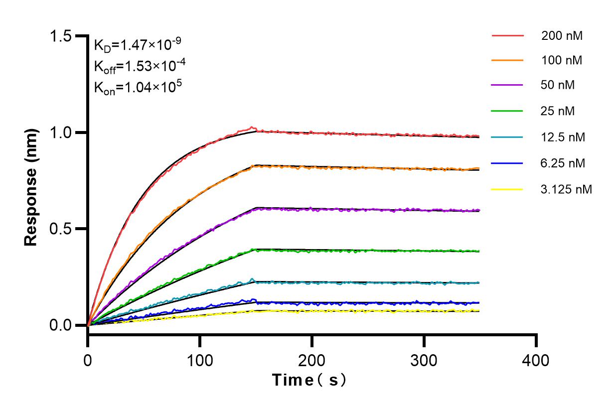 Affinity and Kinetic Characterization of 83691-3-RR