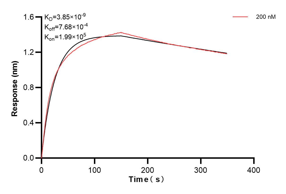 Affinity and Kinetic Characterization of 83701-3-PBS