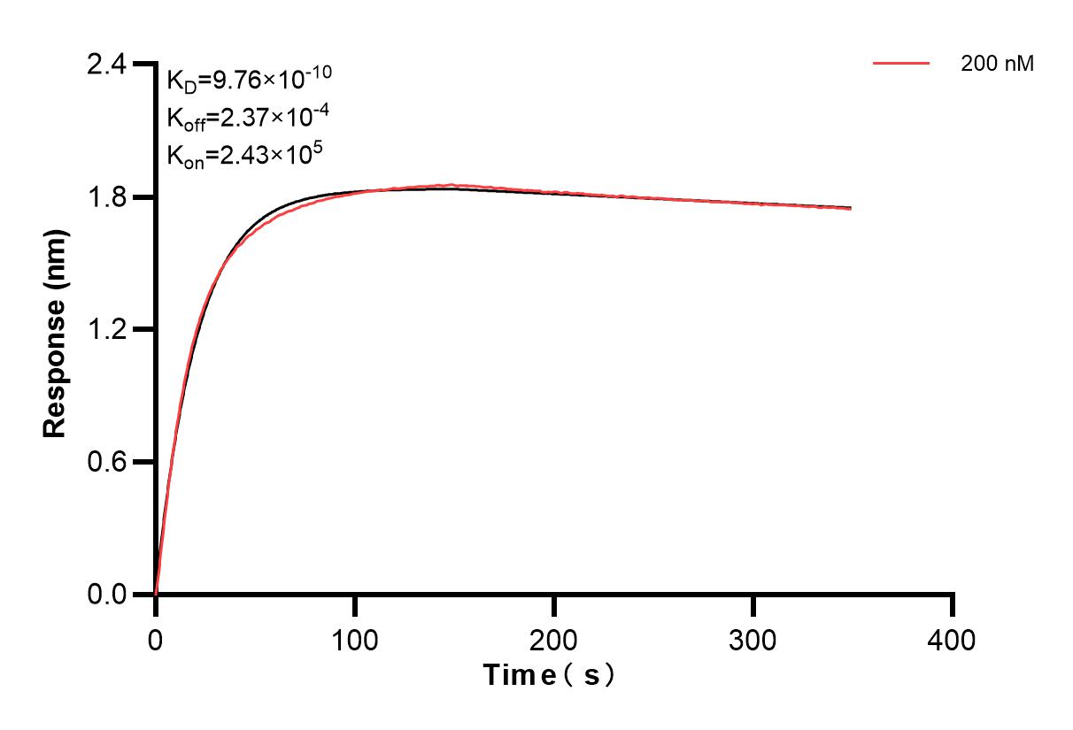 Affinity and Kinetic Characterization of 83701-4-PBS