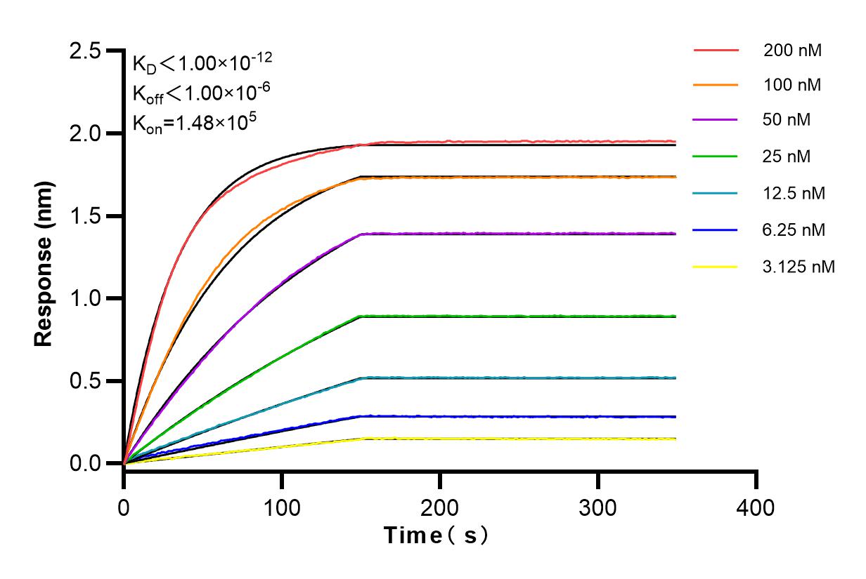 Affinity and Kinetic Characterization of 83717-4-RR