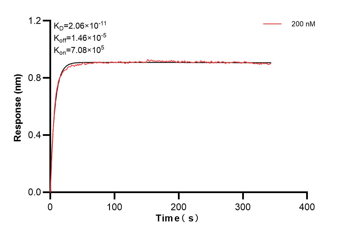 Affinity and Kinetic Characterization of 83721-3-PBS