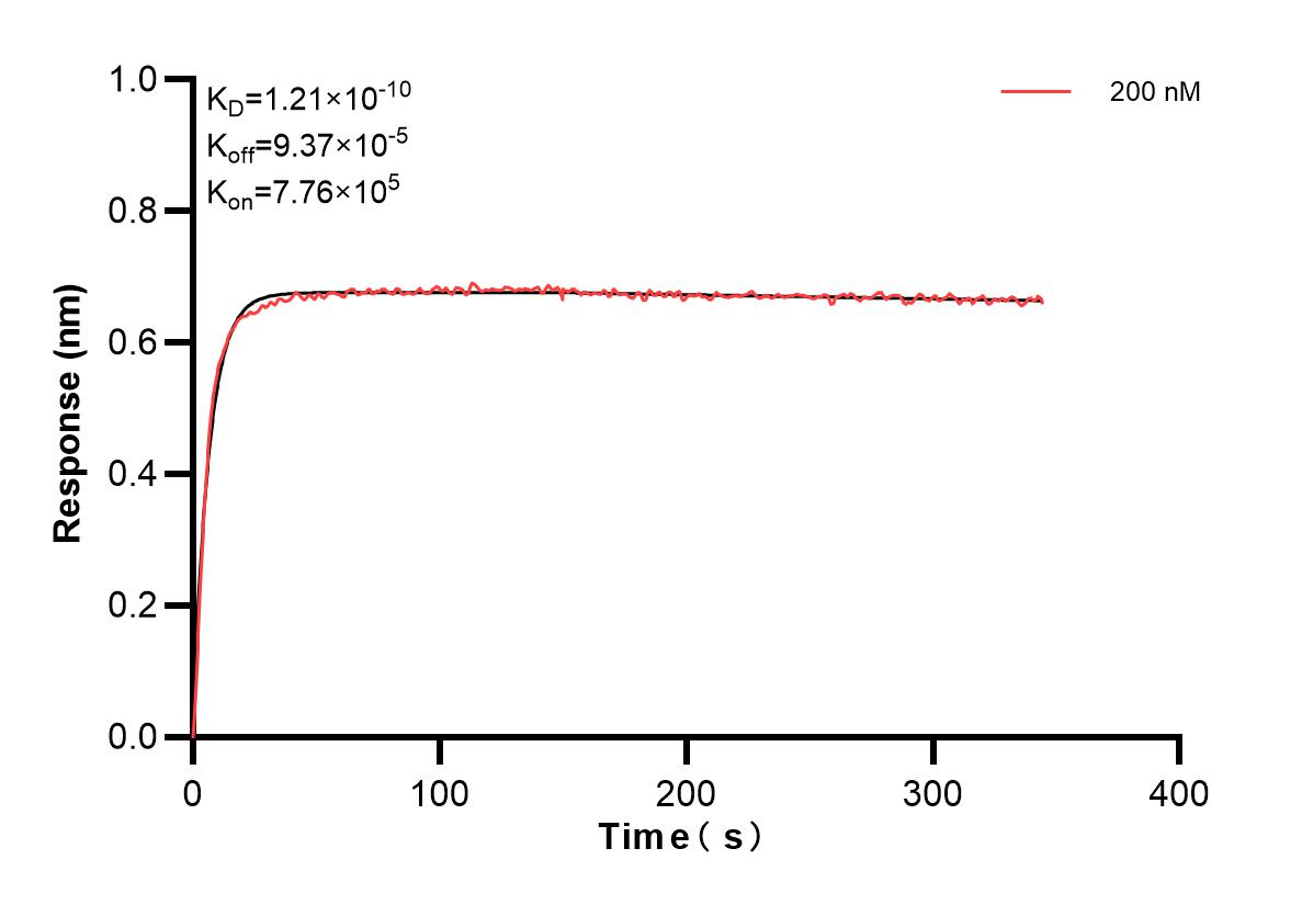 Affinity and Kinetic Characterization of 83721-4-PBS