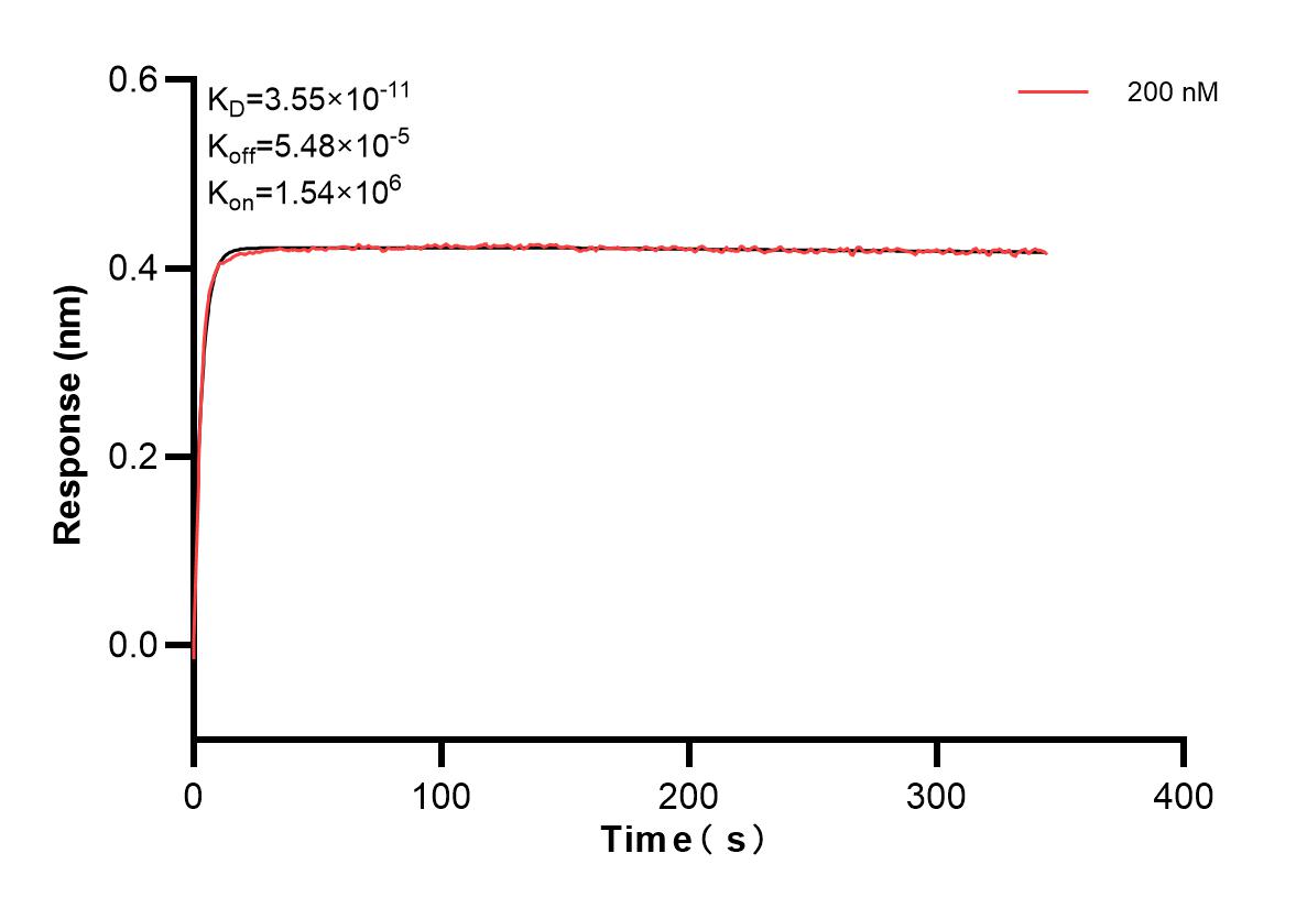 Affinity and Kinetic Characterization of 83721-5-PBS