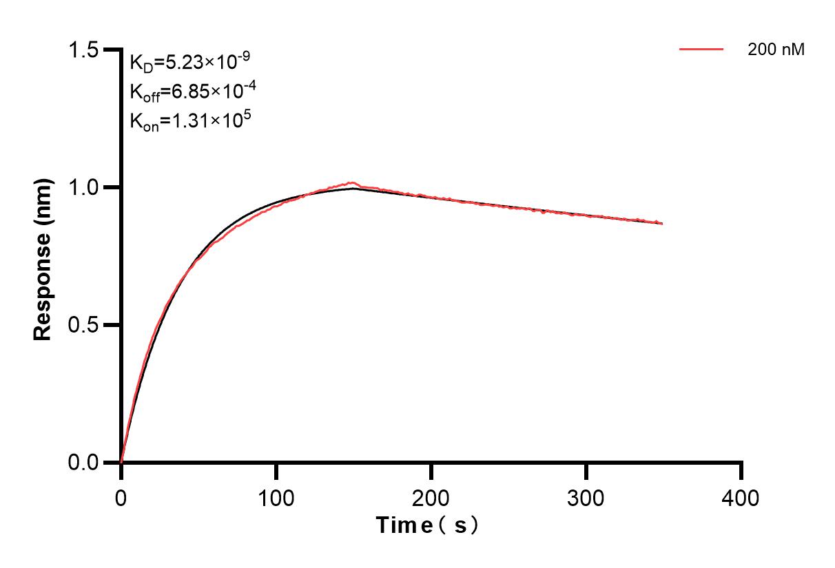 Affinity and Kinetic Characterization of 83723-1-PBS