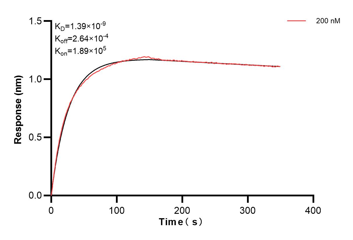 Affinity and Kinetic Characterization of 83723-3-PBS