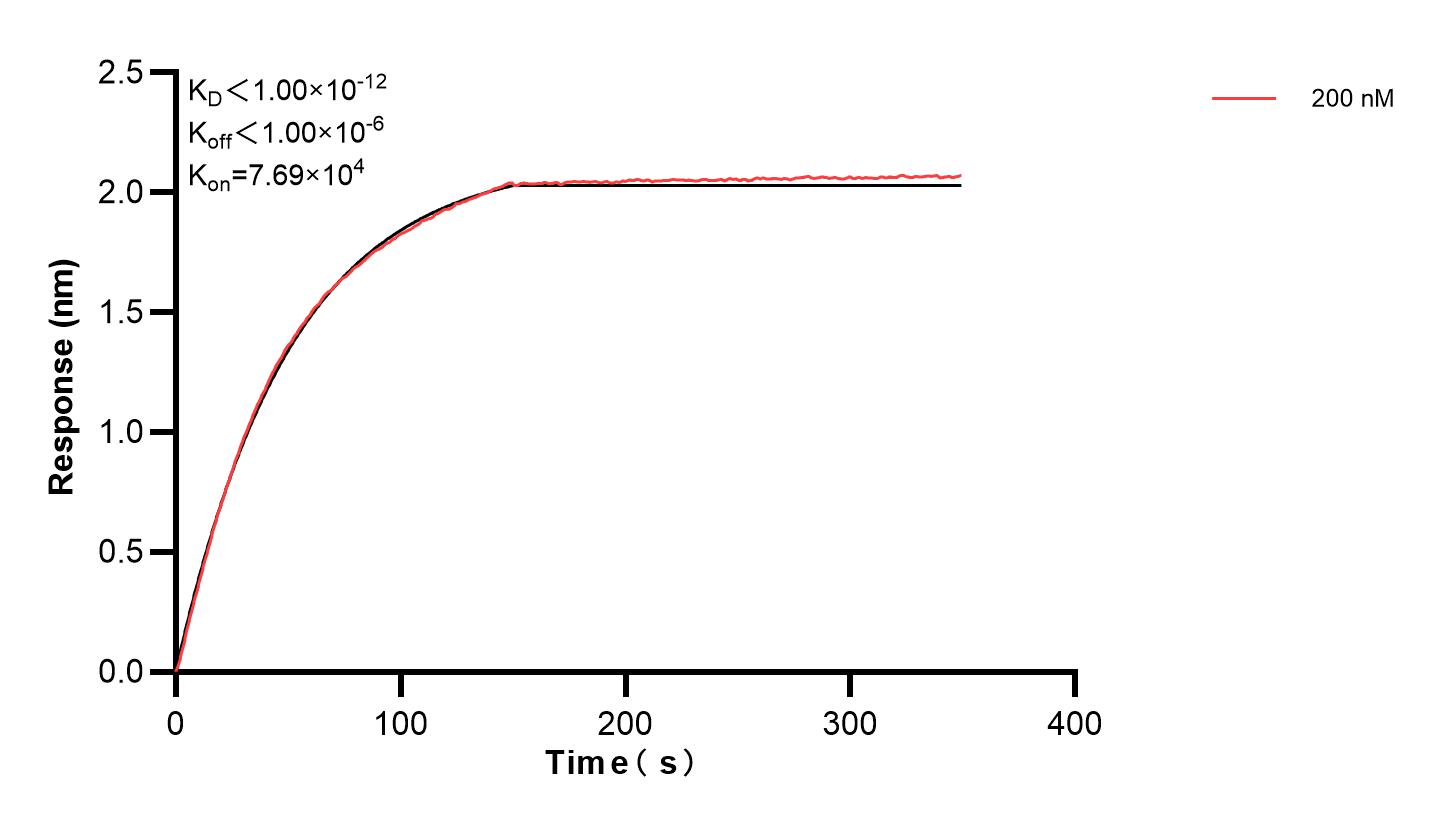 Affinity and Kinetic Characterization of 83730-2-PBS