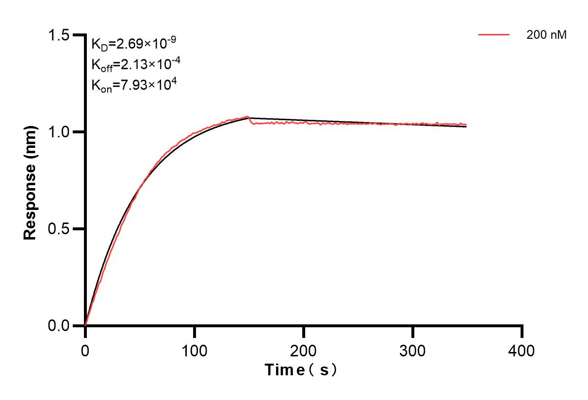 Affinity and Kinetic Characterization of 83734-1-PBS