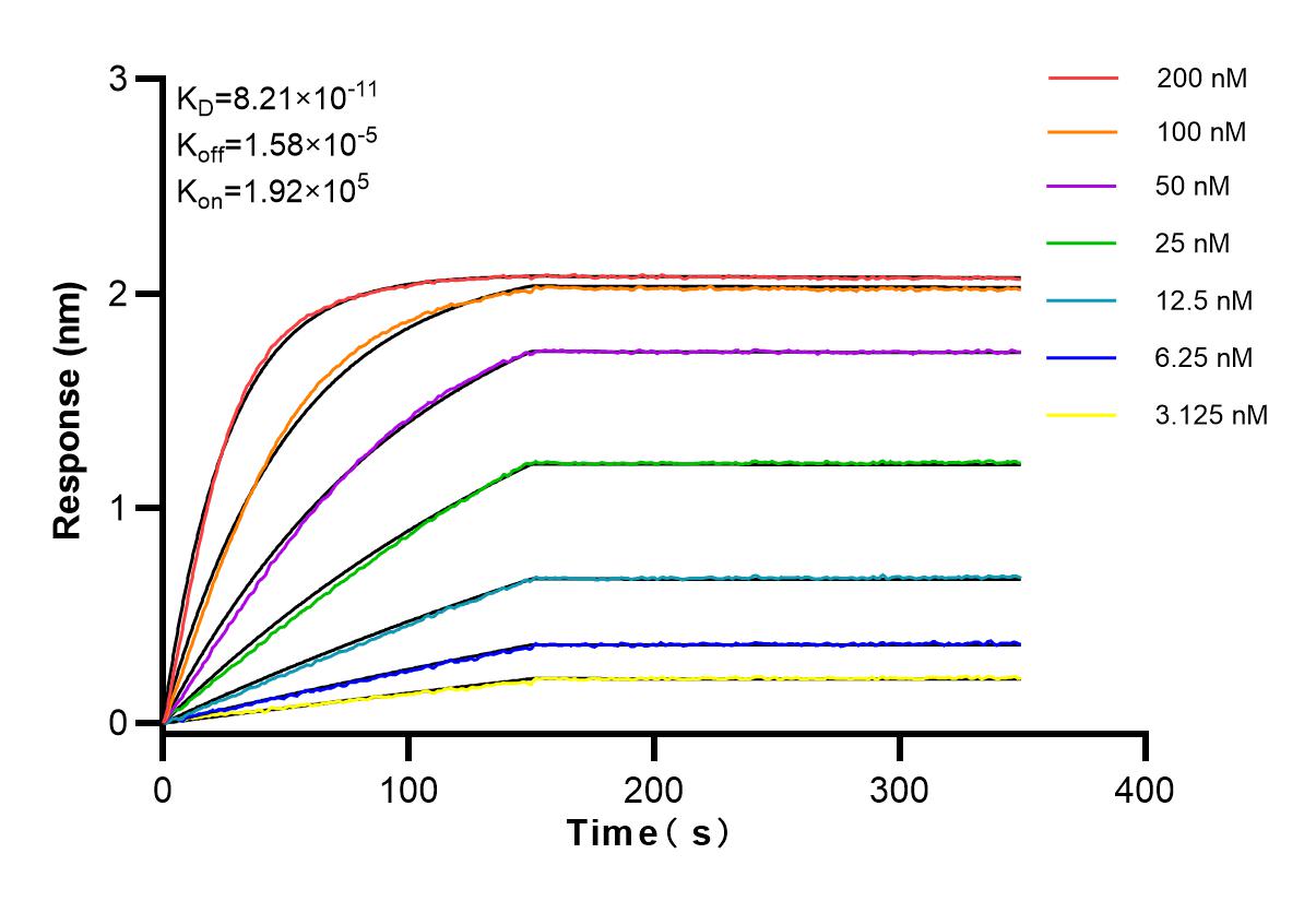 Affinity and Kinetic Characterization of 83743-5-RR