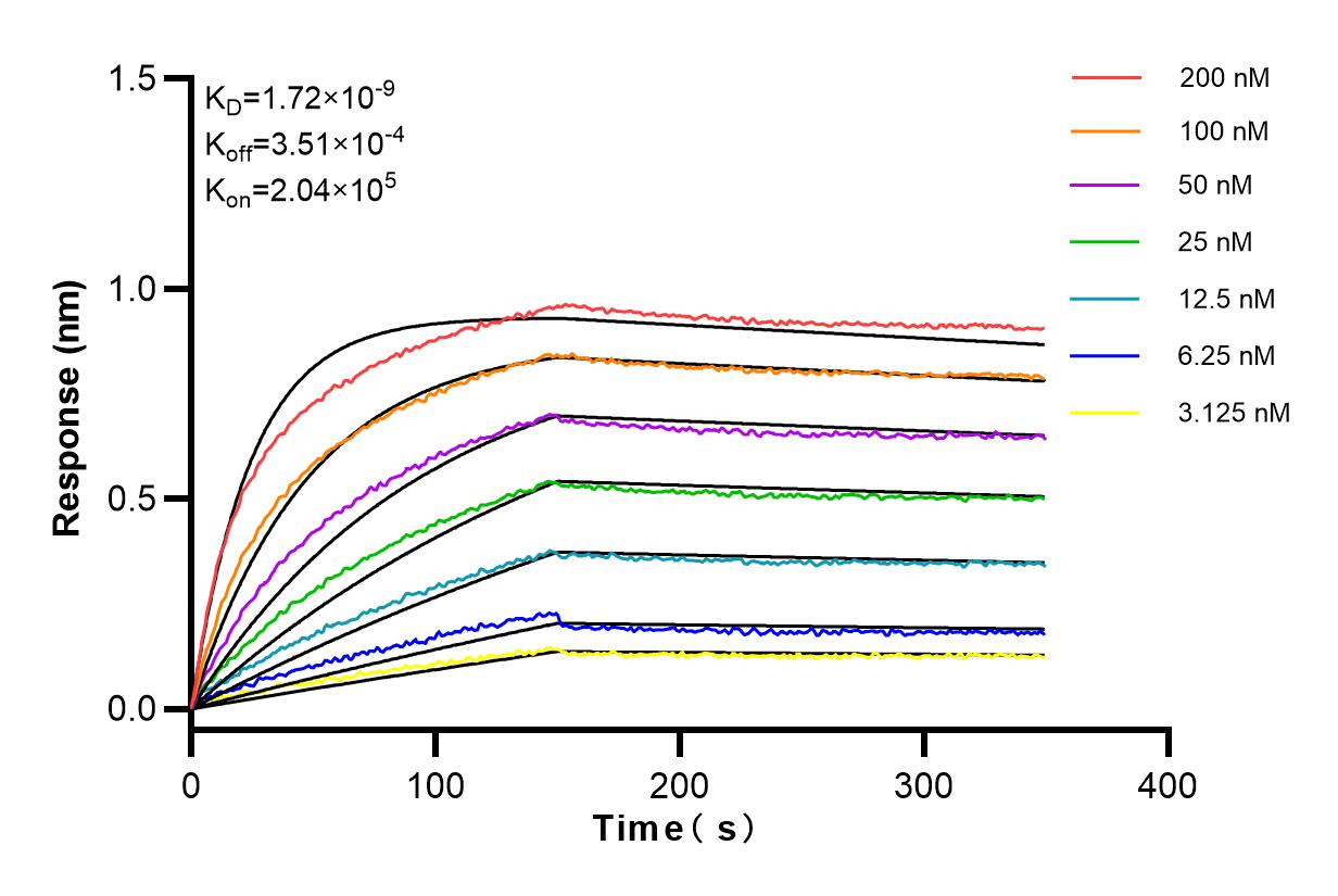 Affinity and Kinetic Characterization of 83747-7-RR