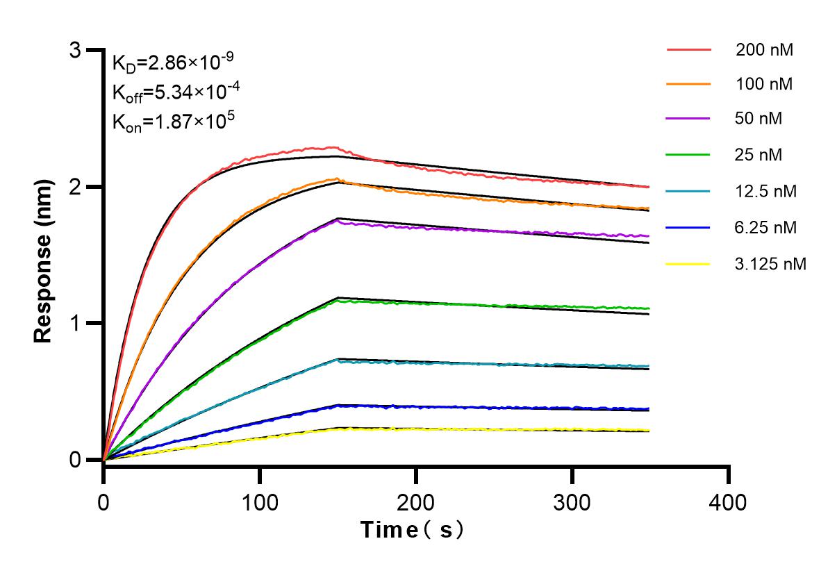 Affinity and Kinetic Characterization of 83750-4-RR