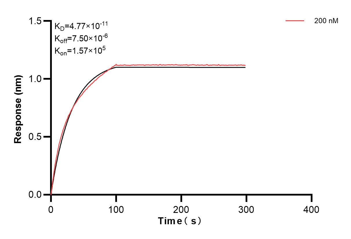 Affinity and Kinetic Characterization of 83752-3-PBS