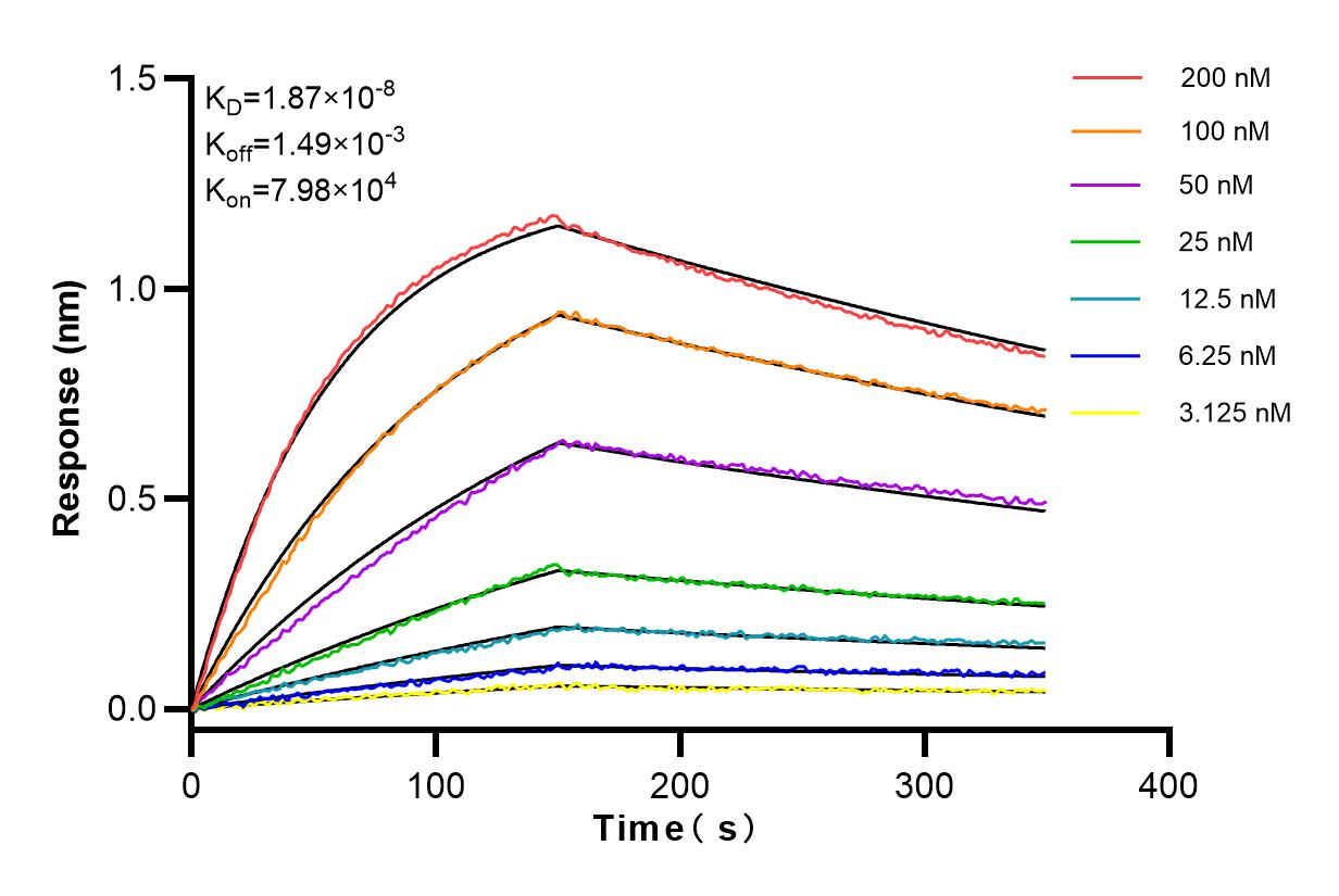 Affinity and Kinetic Characterization of 83759-4-RR