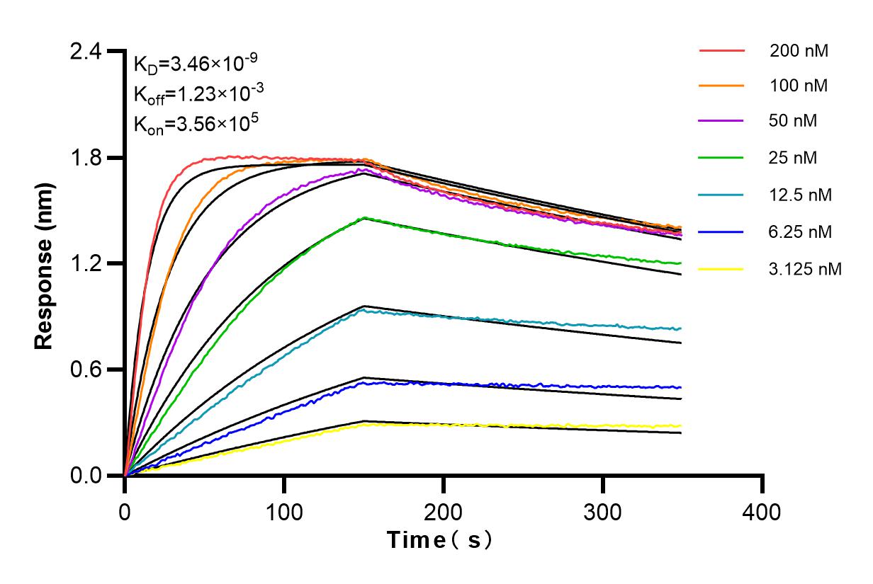 Affinity and Kinetic Characterization of 83759-5-RR