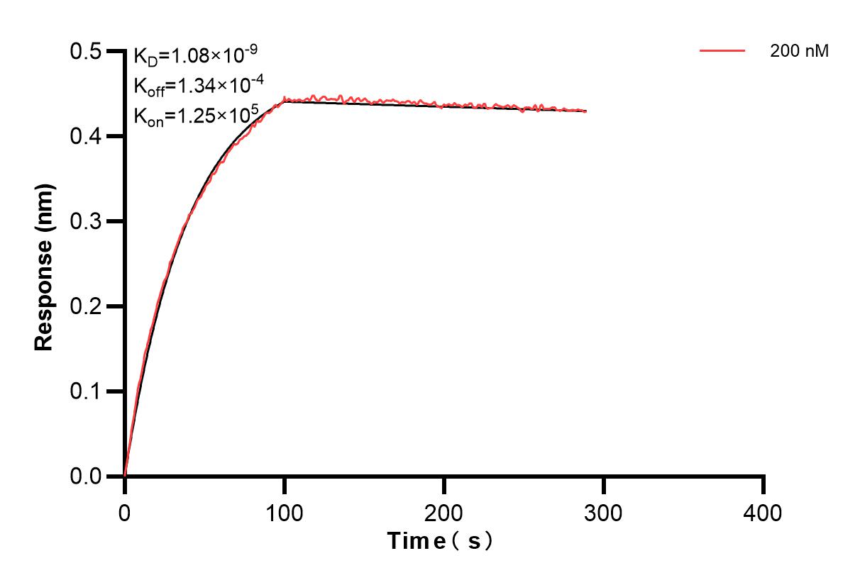 Affinity and Kinetic Characterization of 83760-2-PBS