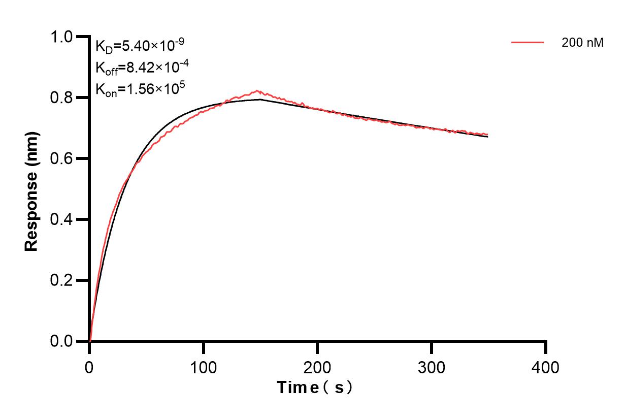 Affinity and Kinetic Characterization of 83760-3-PBS