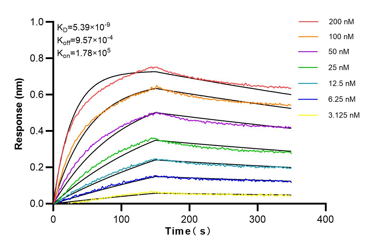 Affinity and Kinetic Characterization of 83760-3-RR