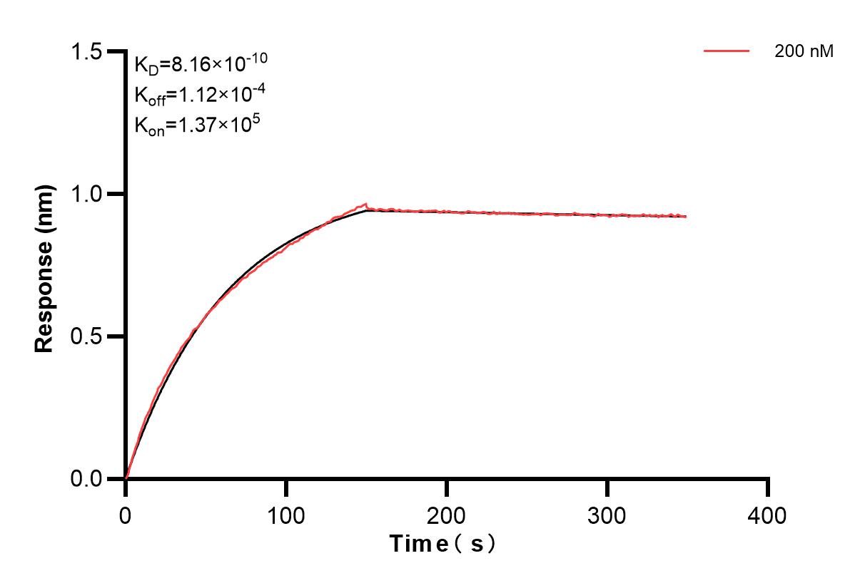 Affinity and Kinetic Characterization of 83760-4-PBS