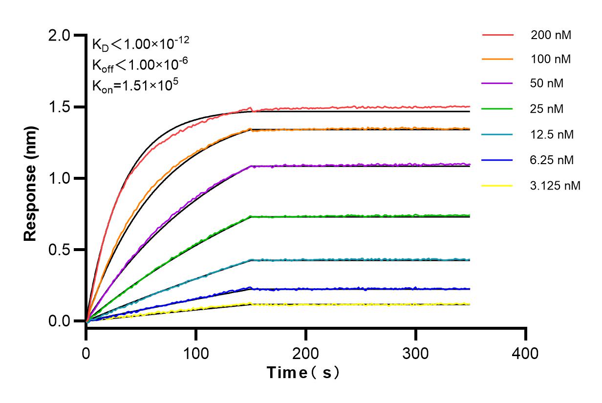 Affinity and Kinetic Characterization of 83767-1-RR