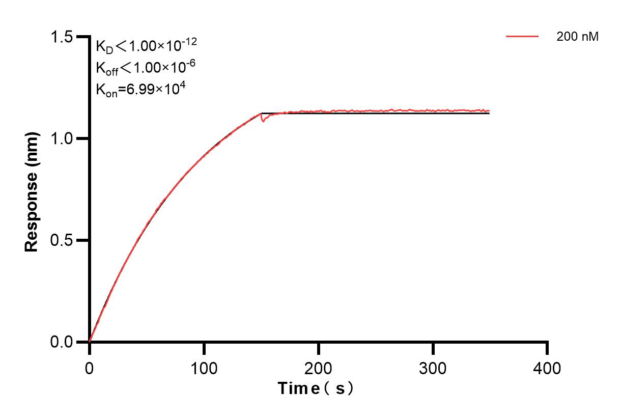 Affinity and Kinetic Characterization of 83773-2-PBS