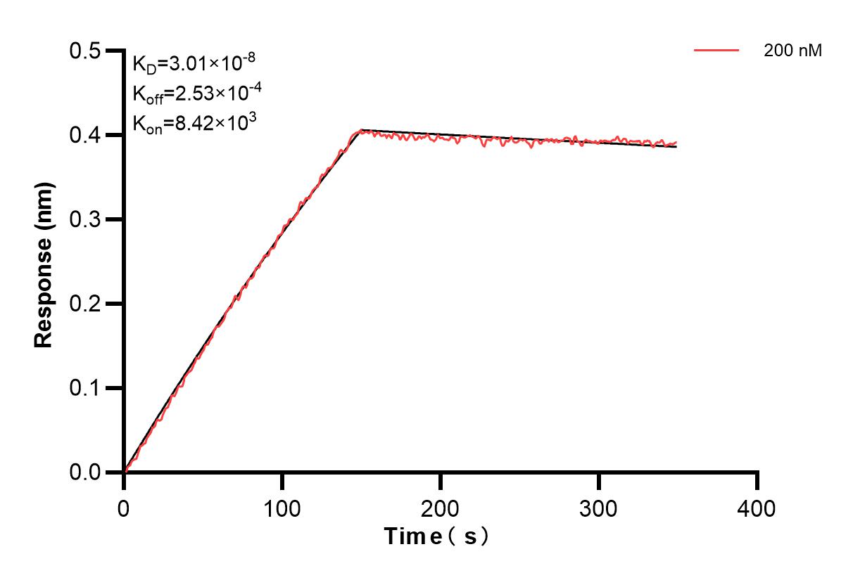 Affinity and Kinetic Characterization of 83781-2-PBS