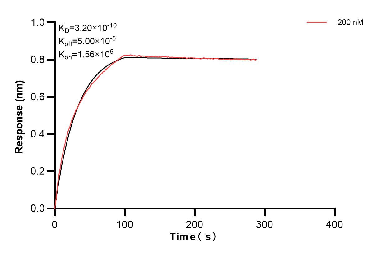 Affinity and Kinetic Characterization of 83782-1-PBS