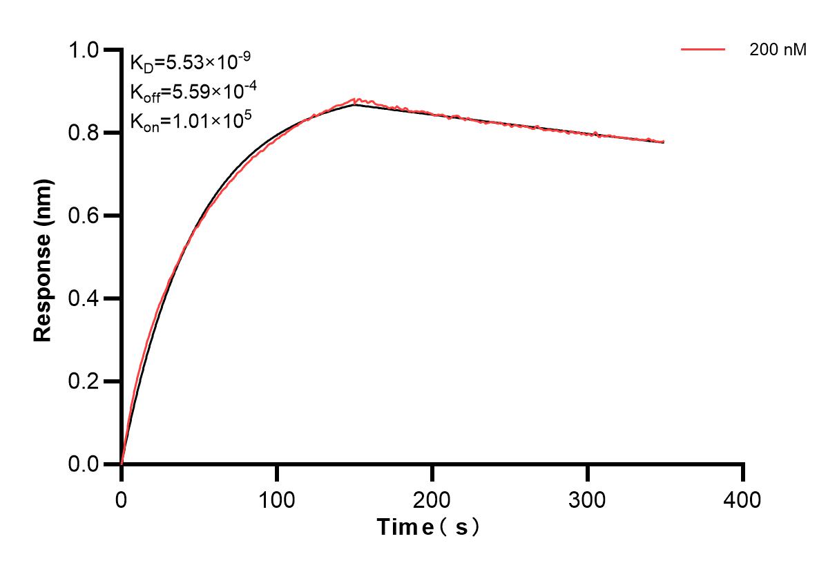 Affinity and Kinetic Characterization of 83782-4-PBS