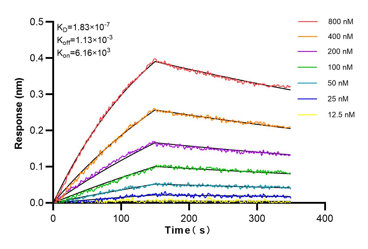 Affinity and Kinetic Characterization of 83785-6-RR