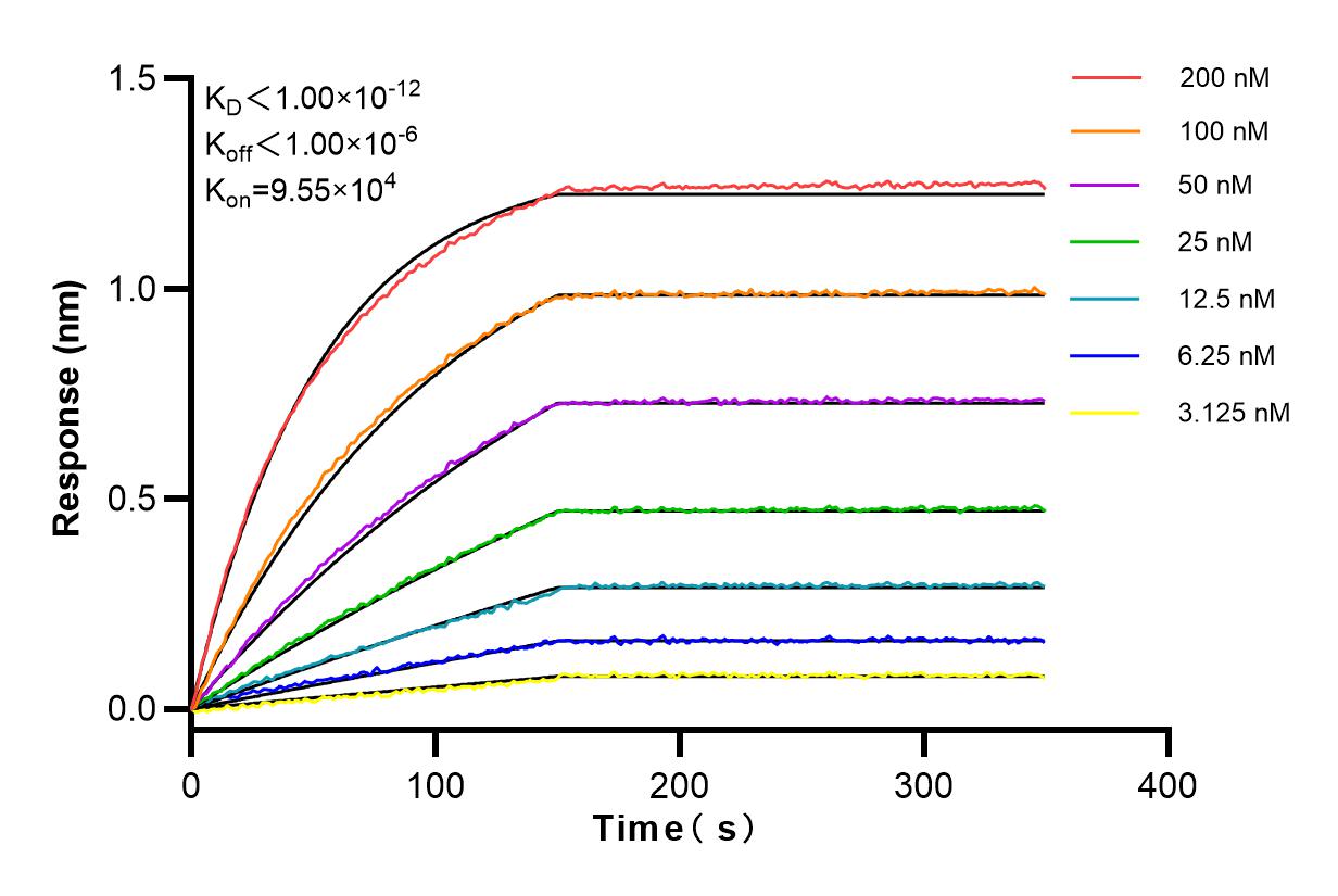 Affinity and Kinetic Characterization of 83790-1-RR