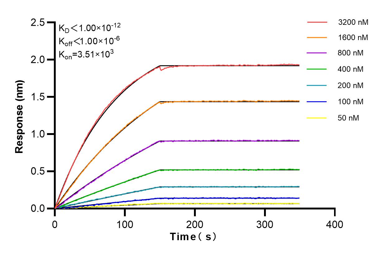 Affinity and Kinetic Characterization of 83792-2-RR