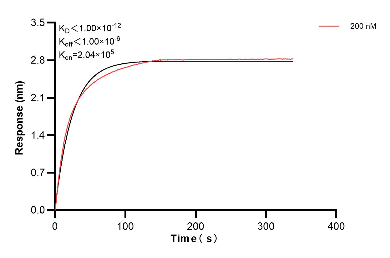 Affinity and Kinetic Characterization of 83796-1-PBS