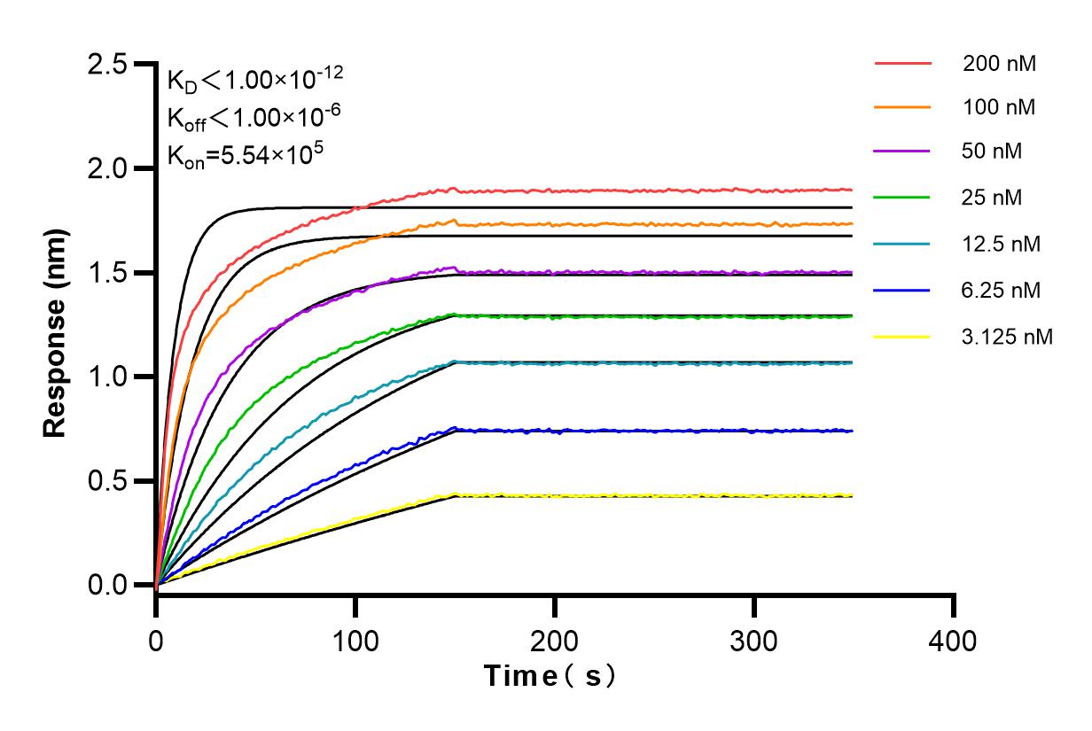 Affinity and Kinetic Characterization of 83796-5-RR