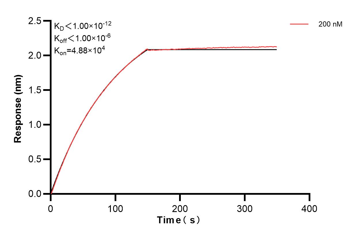 Affinity and Kinetic Characterization of 83803-1-PBS