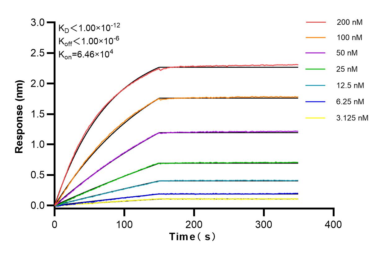 Affinity and Kinetic Characterization of 83812-1-RR