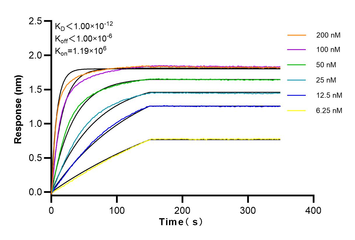 Affinity and Kinetic Characterization of 83820-5-RR