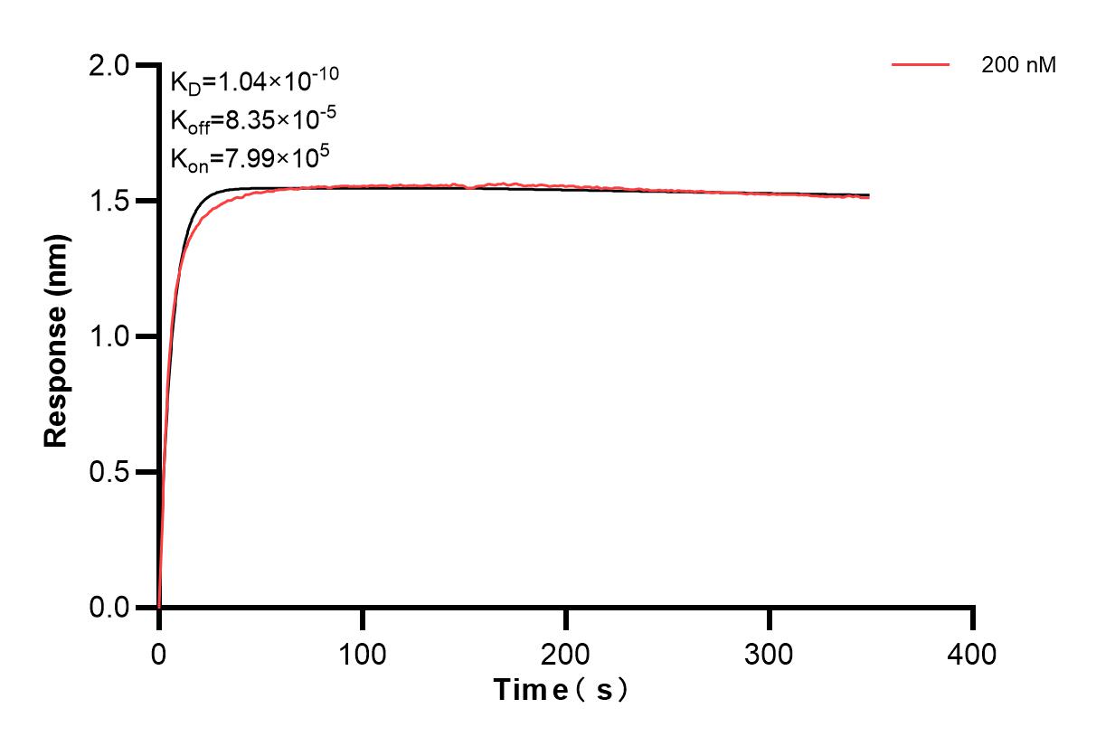 Affinity and Kinetic Characterization of 83832-1-PBS