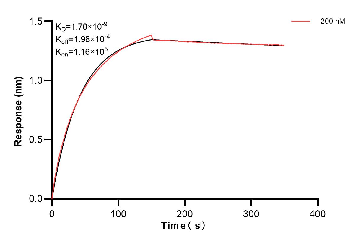 Affinity and Kinetic Characterization of 83834-2-PBS