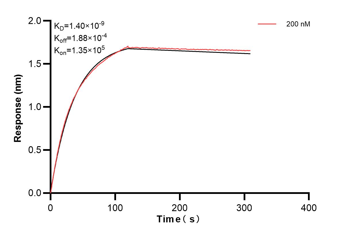 Affinity and Kinetic Characterization of 83837-1-PBS