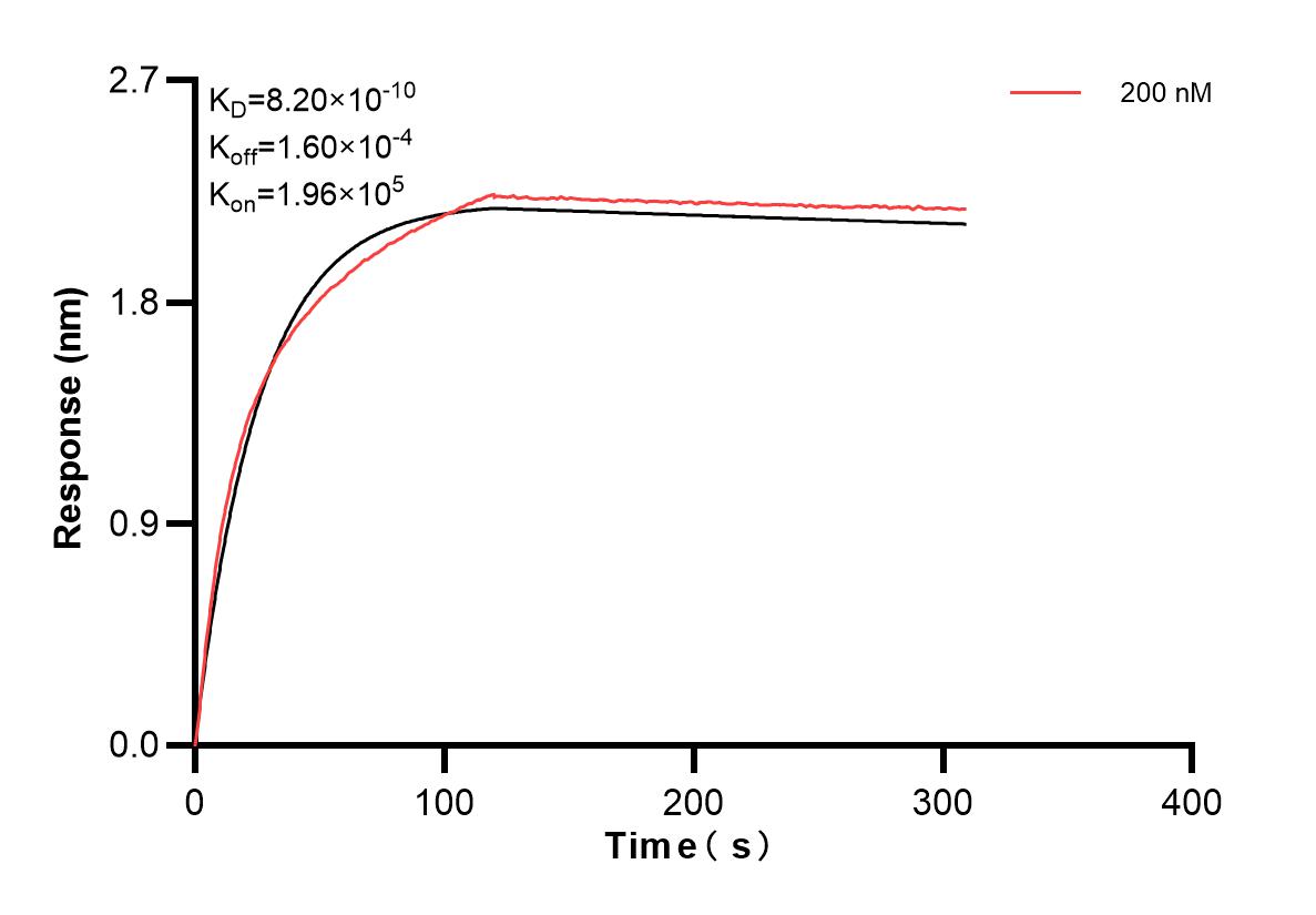 Affinity and Kinetic Characterization of 83837-4-PBS