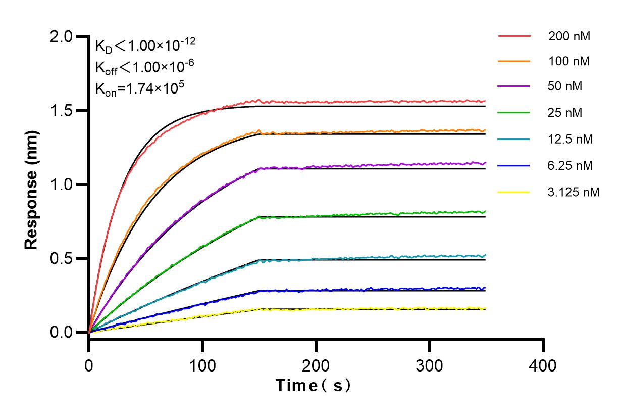 Affinity and Kinetic Characterization of 83838-5-RR